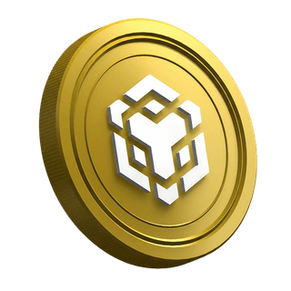 Kryptoměnový coin Binance BNB na stránce průvodce pro nové tradery